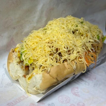 PERRO ESPECIAL